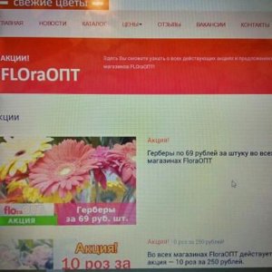 Флора Опт Интернет Магазин Флора Опт Интернет Магазин