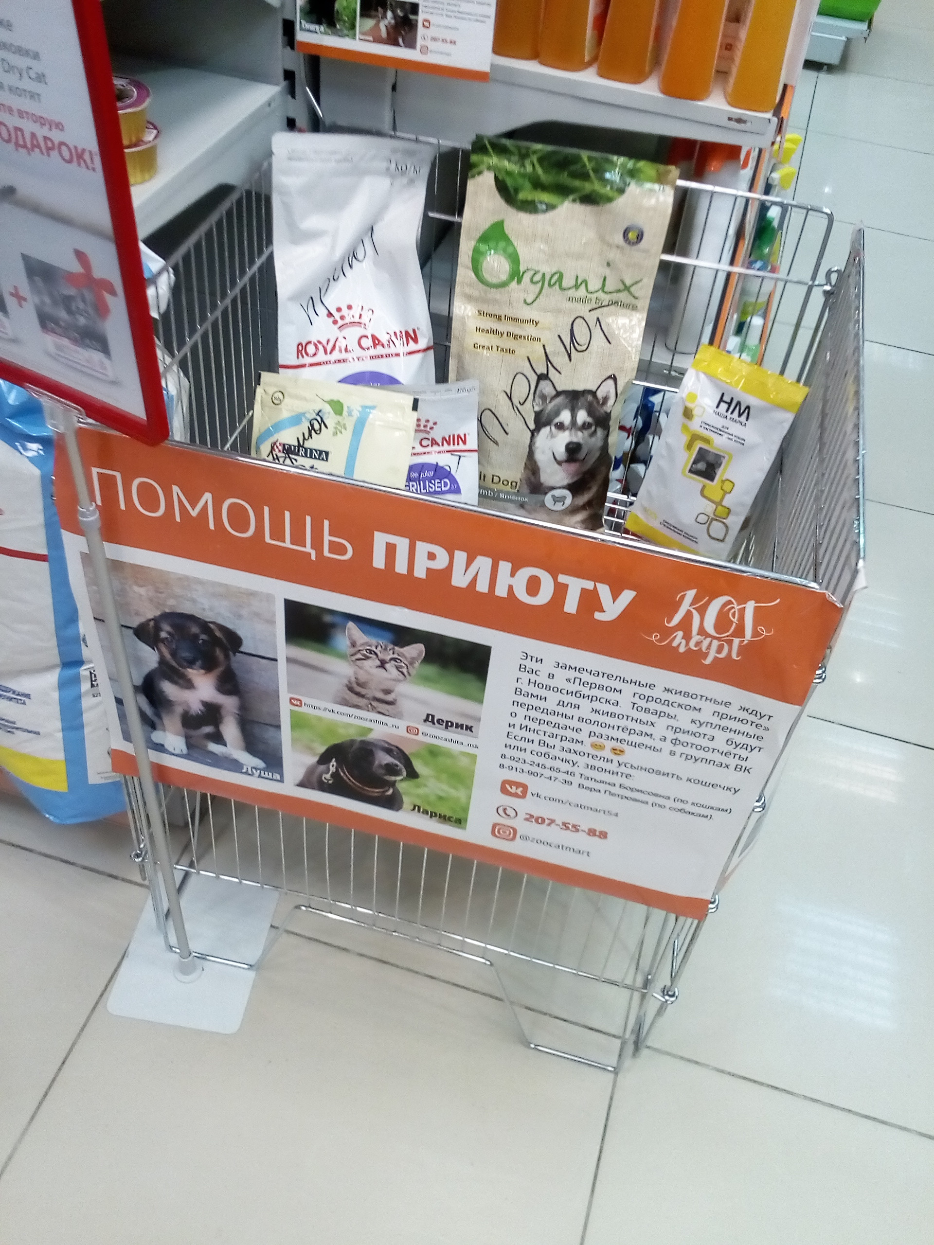 Кот Март Зоомагазин Новосибирск Интернет Магазин