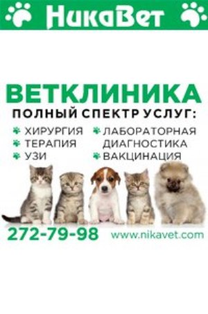 Ветеринарные Аптеки Красноярск Адреса