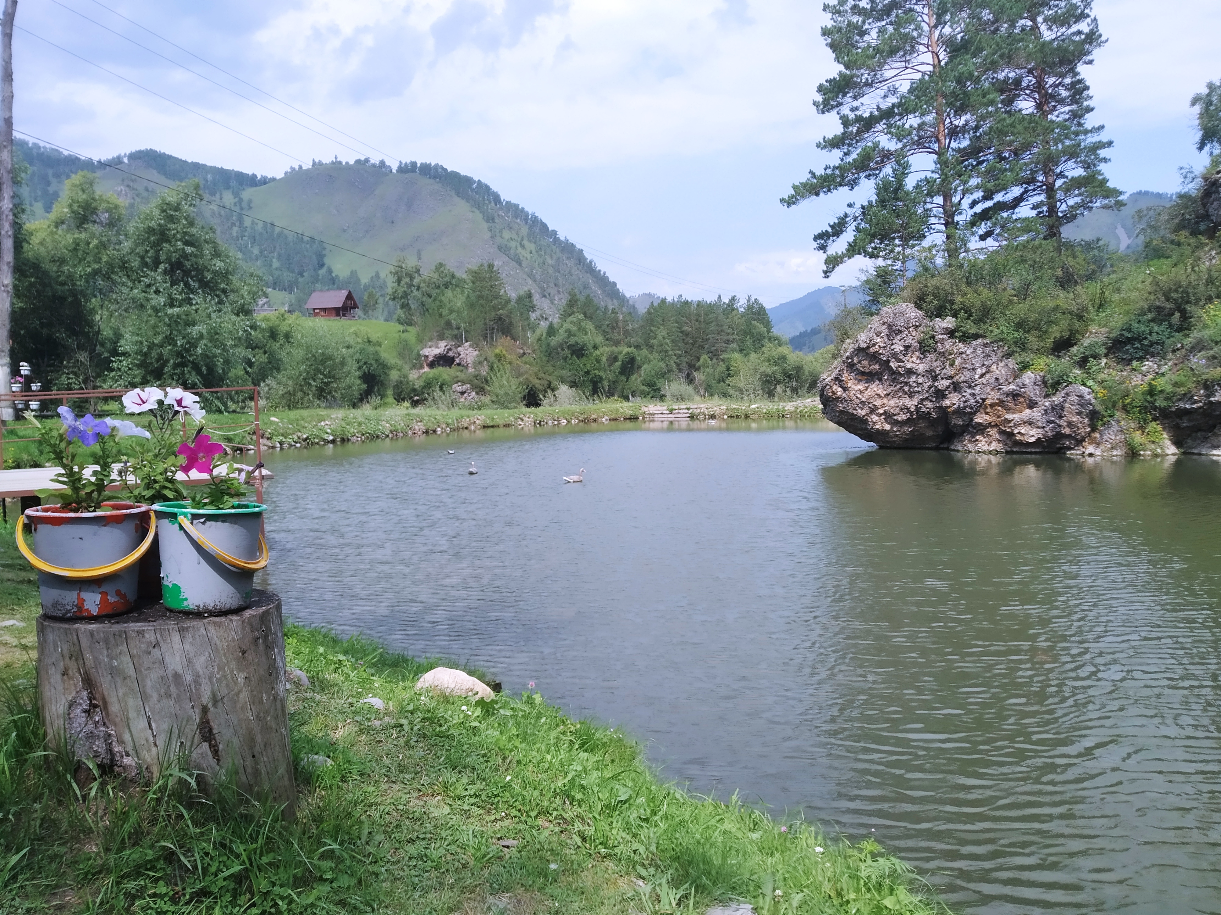 Горный Алтай форелевое форелевое озеро