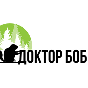 Доктор бобер