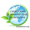 Сибирская клининговая компания