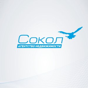 Соколе групп. ПФ Сокол. ООО Сокол Краснокамск. ПФ Сокол Краснокамск. ООО ПФ Сокол логотип.