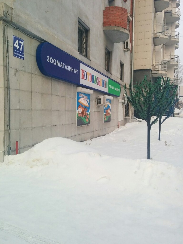 Котоваськино Зоомагазин Новосибирск Интернет Магазин