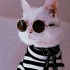 Кофтун