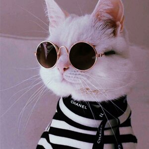 Кофтун