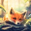 lucky-fox