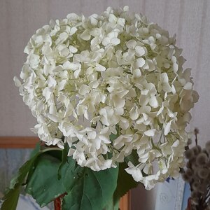 Margarita Konstantinovna