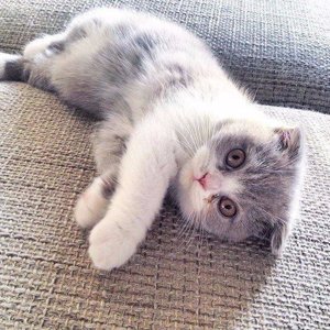 Катерина