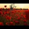 Mock Sun