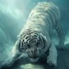 Александр Попов