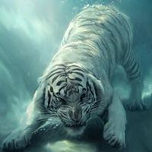 Александр Попов