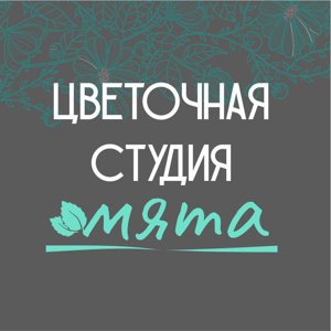 Мята