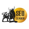 Seoleader 