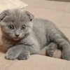 Алёна