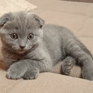 Алёна