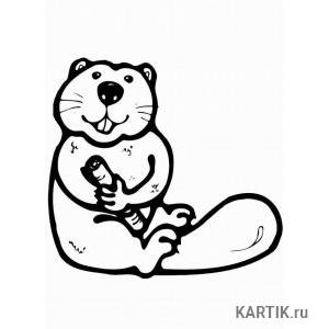 Kandibober