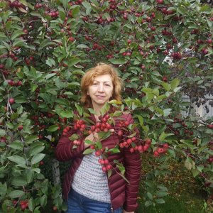 kruklusy