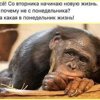 sumaherovicsumaher