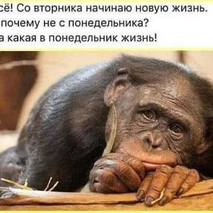 sumaherovicsumaher