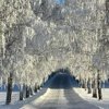 Лилия Шарапова