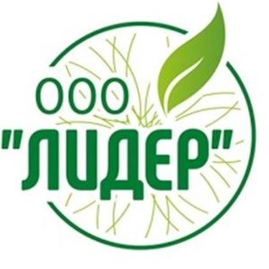 Лидер