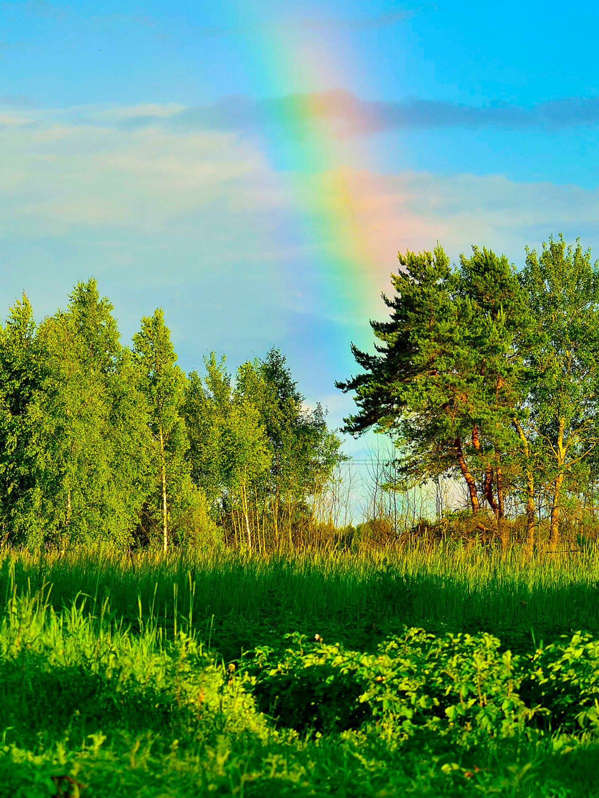 Хорошего дня радуга. Летний пейзаж. Летняя природа. Пейзаж лето. Солнечный пейзаж.