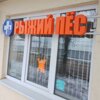 Рыжий пес