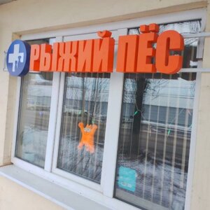 Рыжий пес