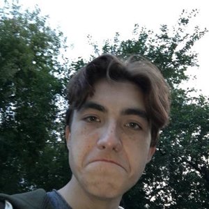 vyborev17