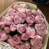 Eva.flower