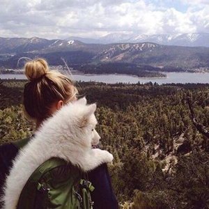 Ирина Ларина