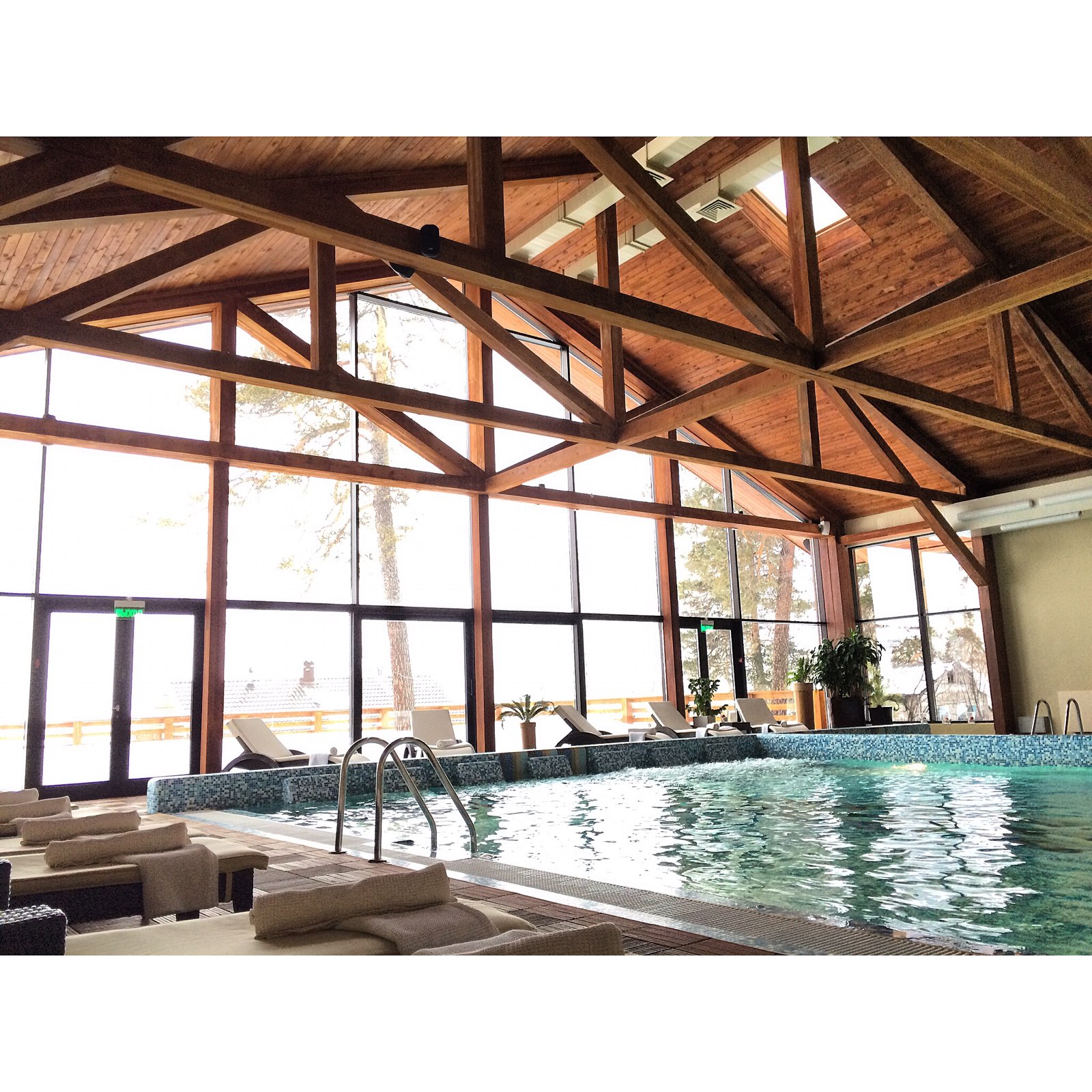 Green wood новосибирск spa. Greenwood Spa Новосибирск. Green Wood Spa Hotel, Новосибирск. Бассейн Гринвуд Новосибирск. Green Wood Wellness&Spa.