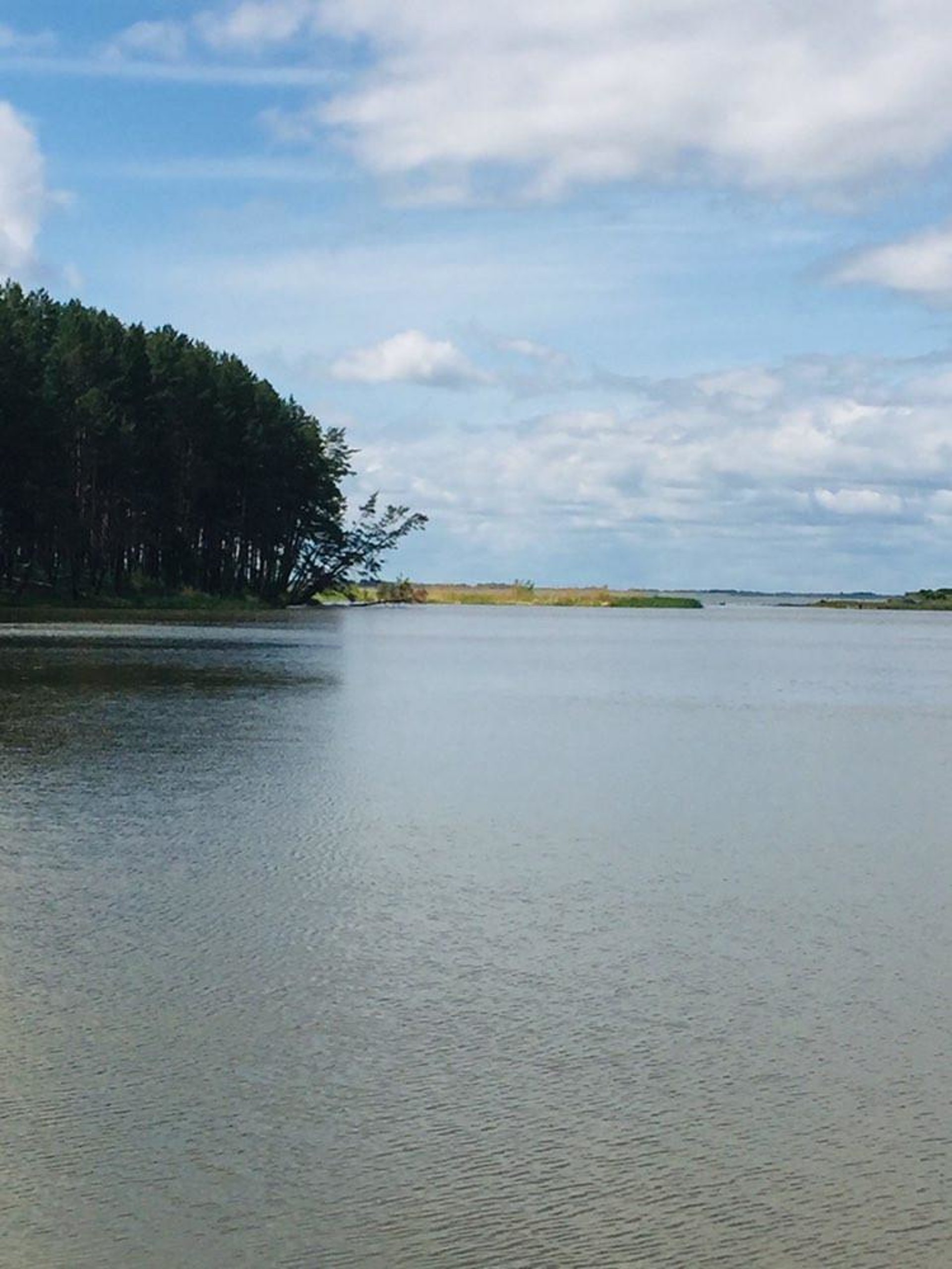 Верх алеус новосибирская область. Усть Алеус Новосибирск. Река Алеус. Алеус база отдыха. Усть-Алеус база Сибтехэнерго.