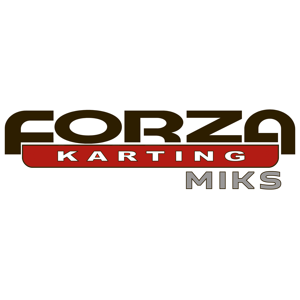 Miks Electrokarting