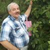 Alexey Burenkov
