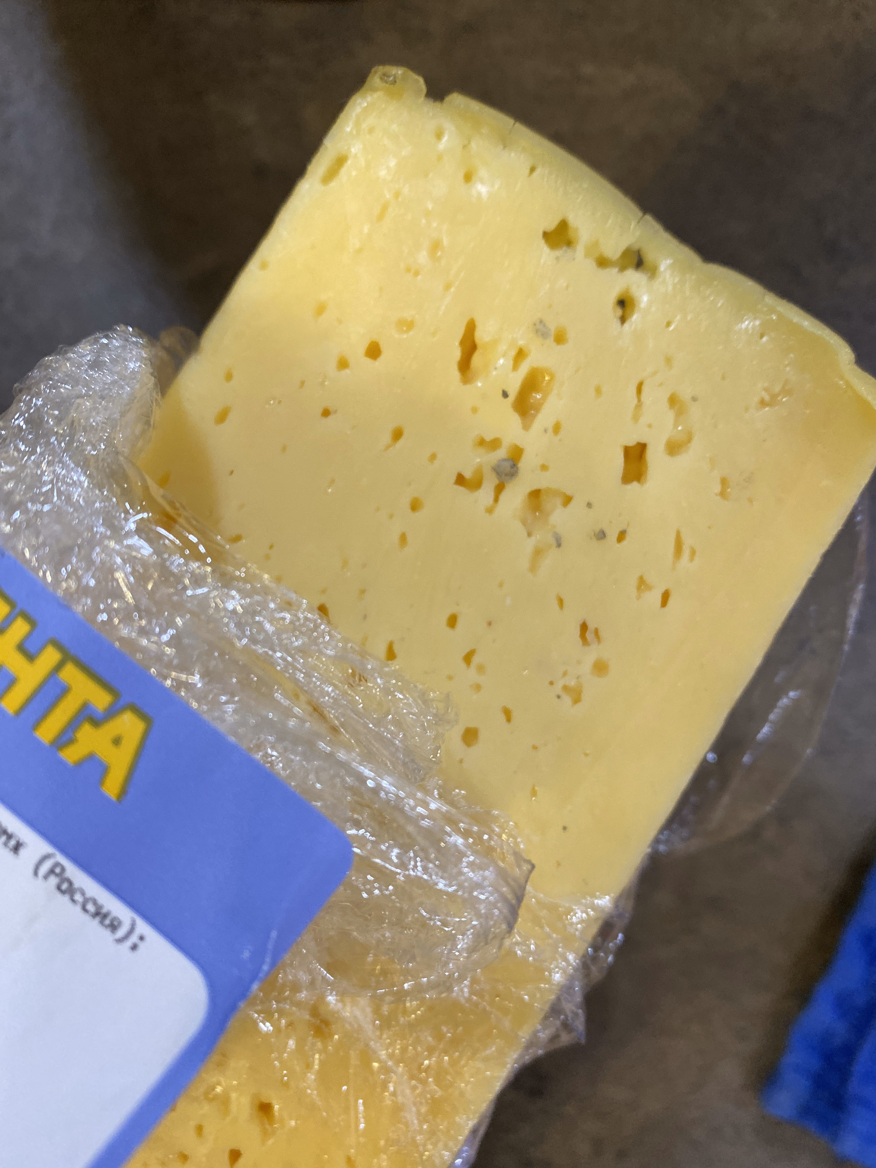 Сыр Под Микроскопом Фото