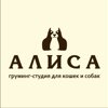 Алиса