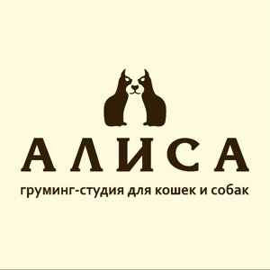 Алиса