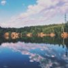 Екатерина Фомичева