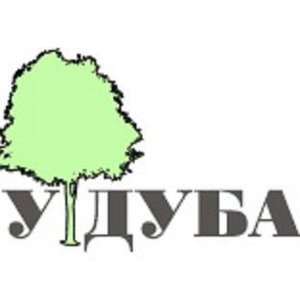 У Дуба