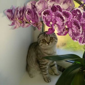 Галина Кашникова