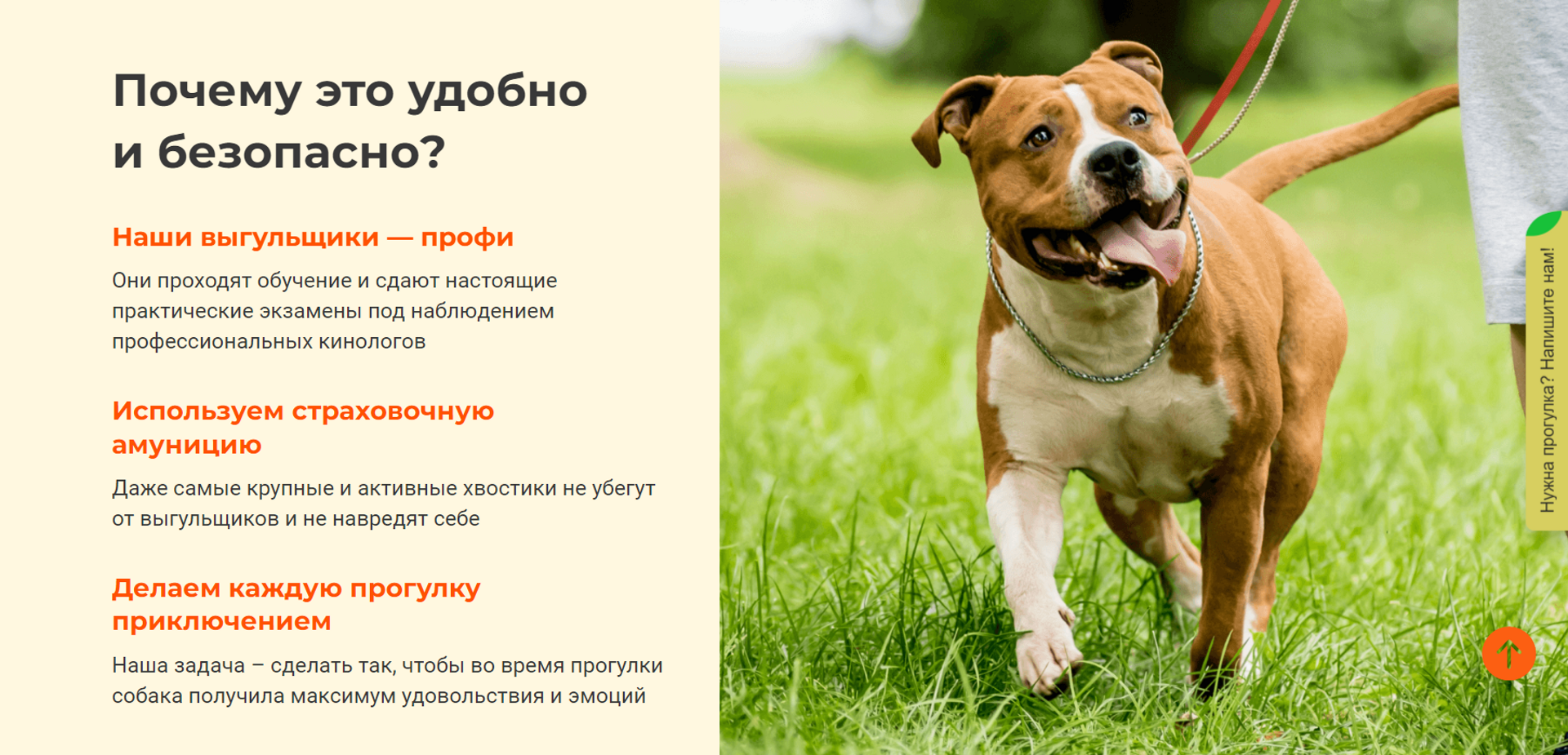 Petshop выгул, БЦ Резон, Всеволода Вишневского, 12а, Санкт-Петербург — 2ГИС