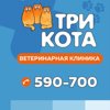 Три кота