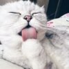 Кристина Федорова