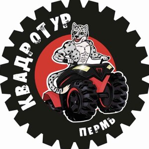 КвадроМонстры Барс