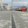 подсолнуховое поле в екатеринбурге. Смотреть фото подсолнуховое поле в екатеринбурге. Смотреть картинку подсолнуховое поле в екатеринбурге. Картинка про подсолнуховое поле в екатеринбурге. Фото подсолнуховое поле в екатеринбурге