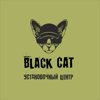 BlackCat, Авторизованный установочный центр