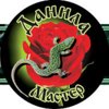 ooodanila-master