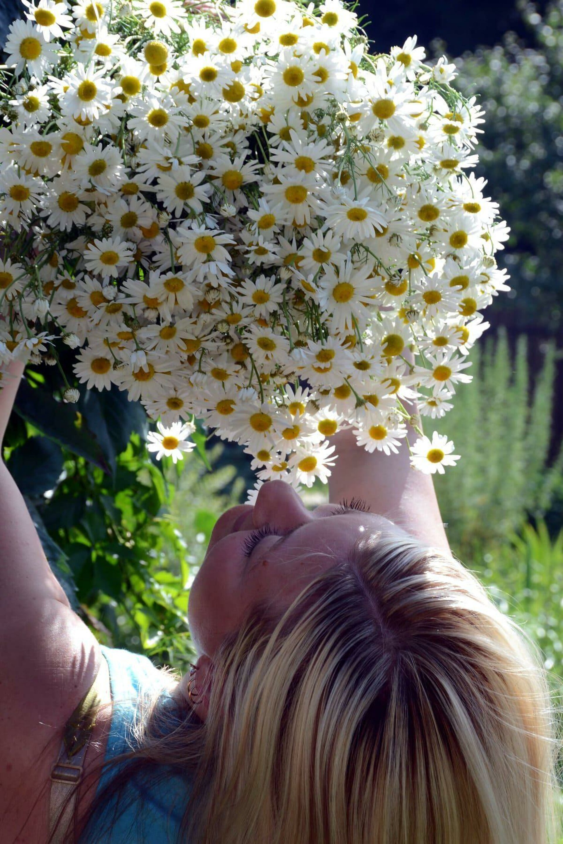 Снежинка, Садовая улица, 61а, Белгород — 2ГИС